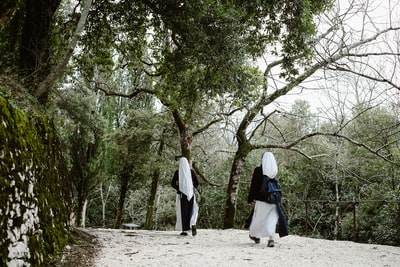 两个女人白天在树旁散步